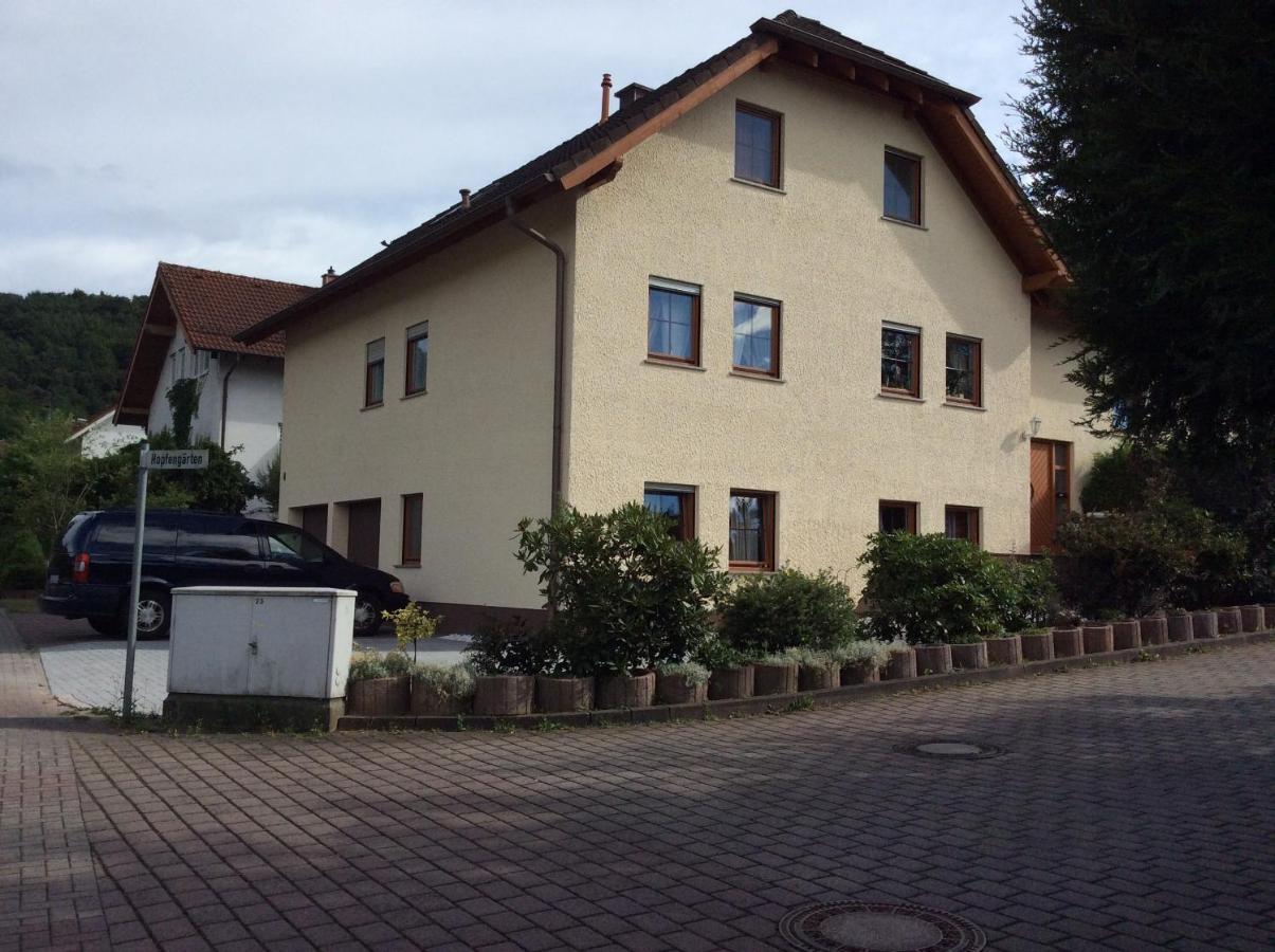 Mountain View Rooms Kindsbach Luaran gambar